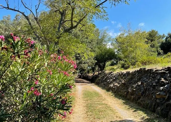Antico Casale Il Fiorentino 公寓